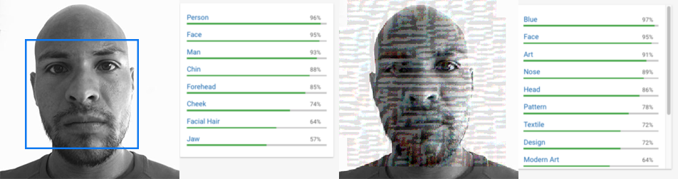 Adversarial Attack Results